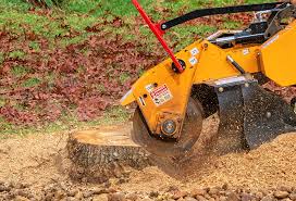 Best Stump Grinding and Removal  in Junction, TX